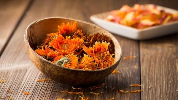 ¿Cómo secar flores con sal? El truco casero para que mantengan su color y forma (y no se aplasten) - Más allá de la sal: los secretos para que tus flores secas no se estropeen