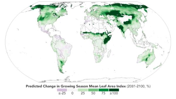 El cinturón verde del planeta se mueve: la vegetación terrestre acelera su migración hacia el noreste - ¿Por qué el desplazamiento del cinturón de vegetación hacia el este importa tanto?