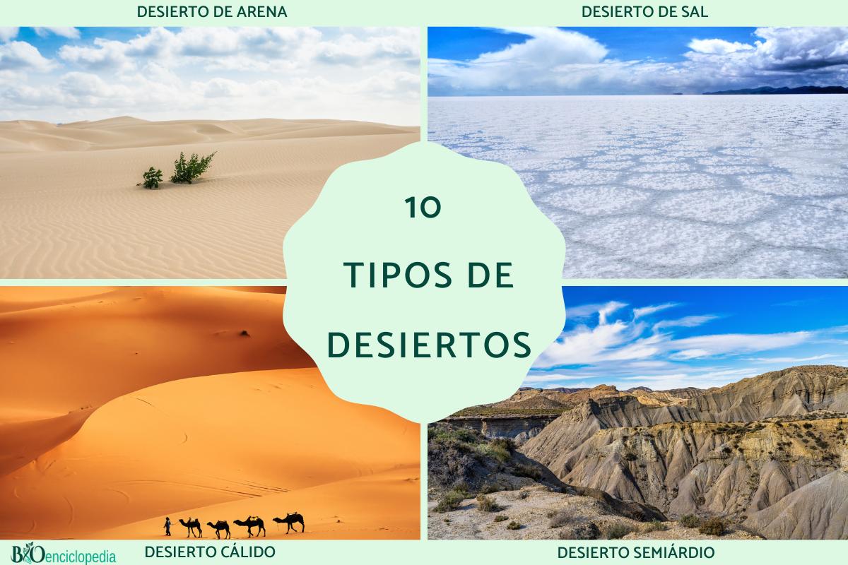 Tipos de desiertos