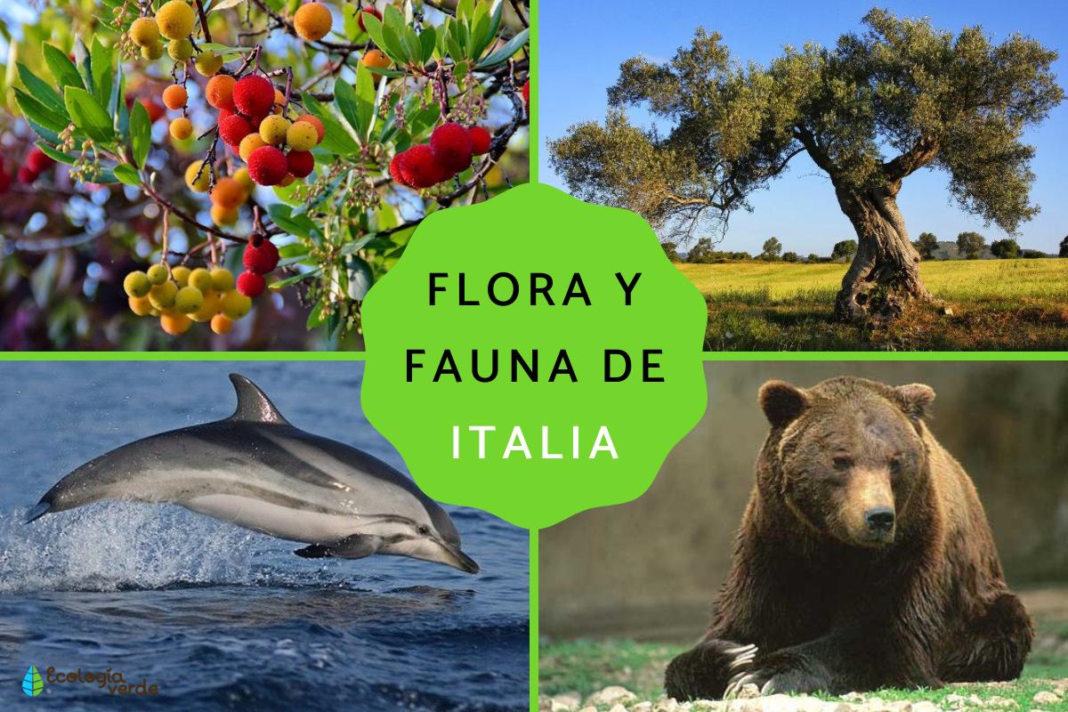 Flora y fauna de Italia