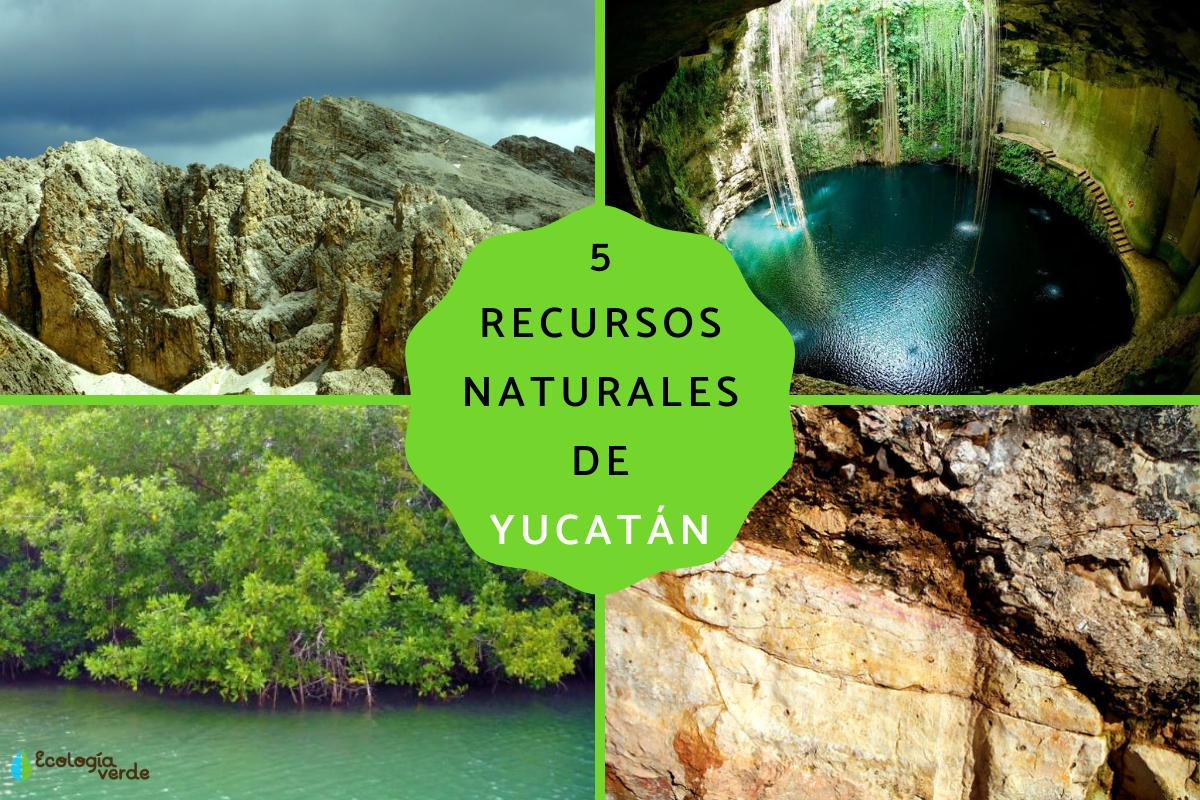 Recursos naturales de Yucatán