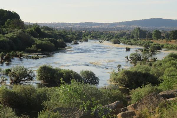 Río Tormes - Características del río Tormes