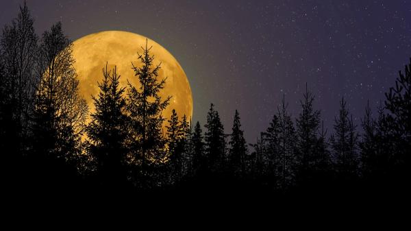 Luna del Cazador 2026: cuándo es y cómo ver esta Luna llena de octubre en su mejor momento - Por qué la Luna llena de octubre se llama Luna del Cazador