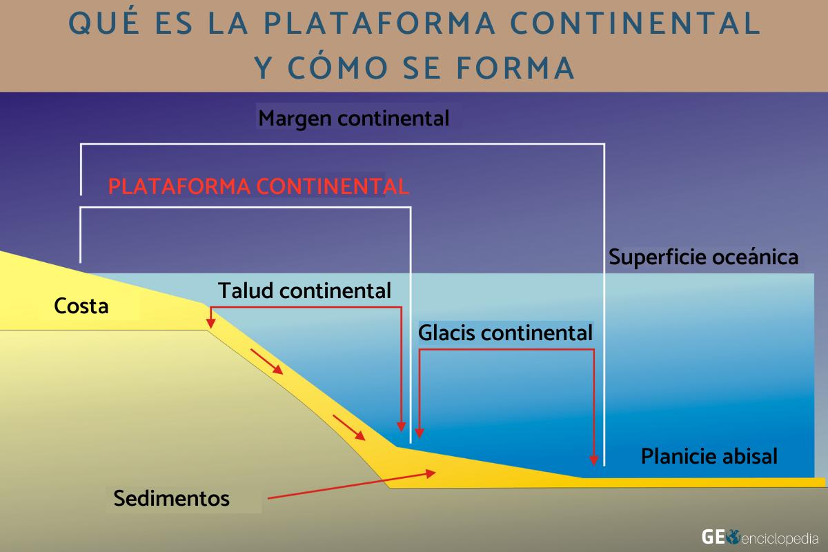 Qué es la plataforma continental y cómo se forma