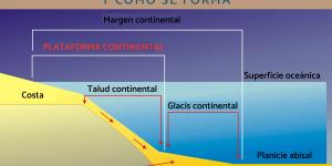 Qué es la plataforma continental y cómo se forma