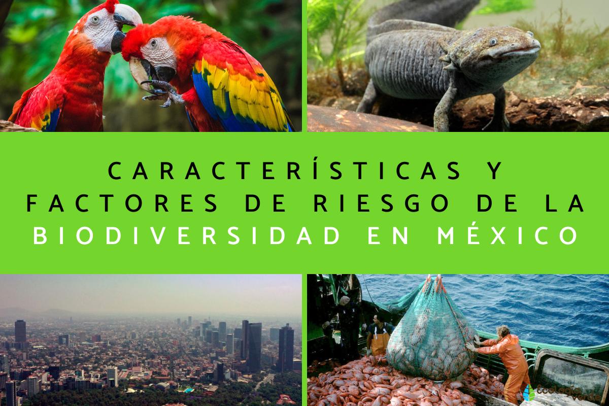 Biodiversidad en México
