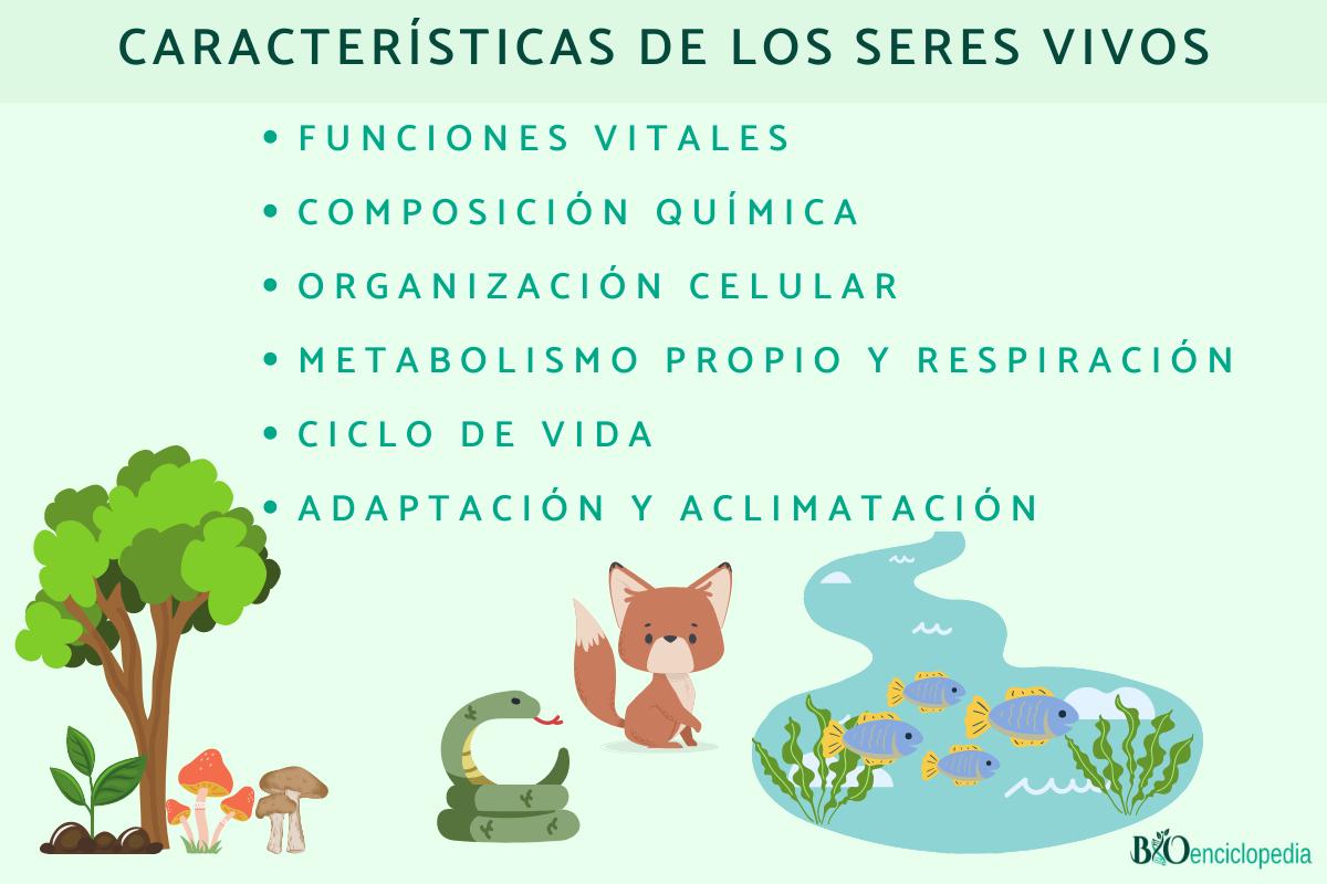 Características de los seres vivos