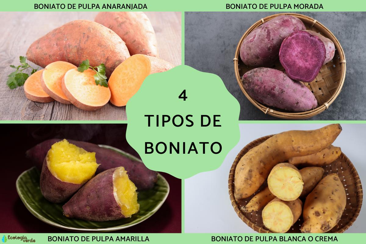 Tipos de boniato