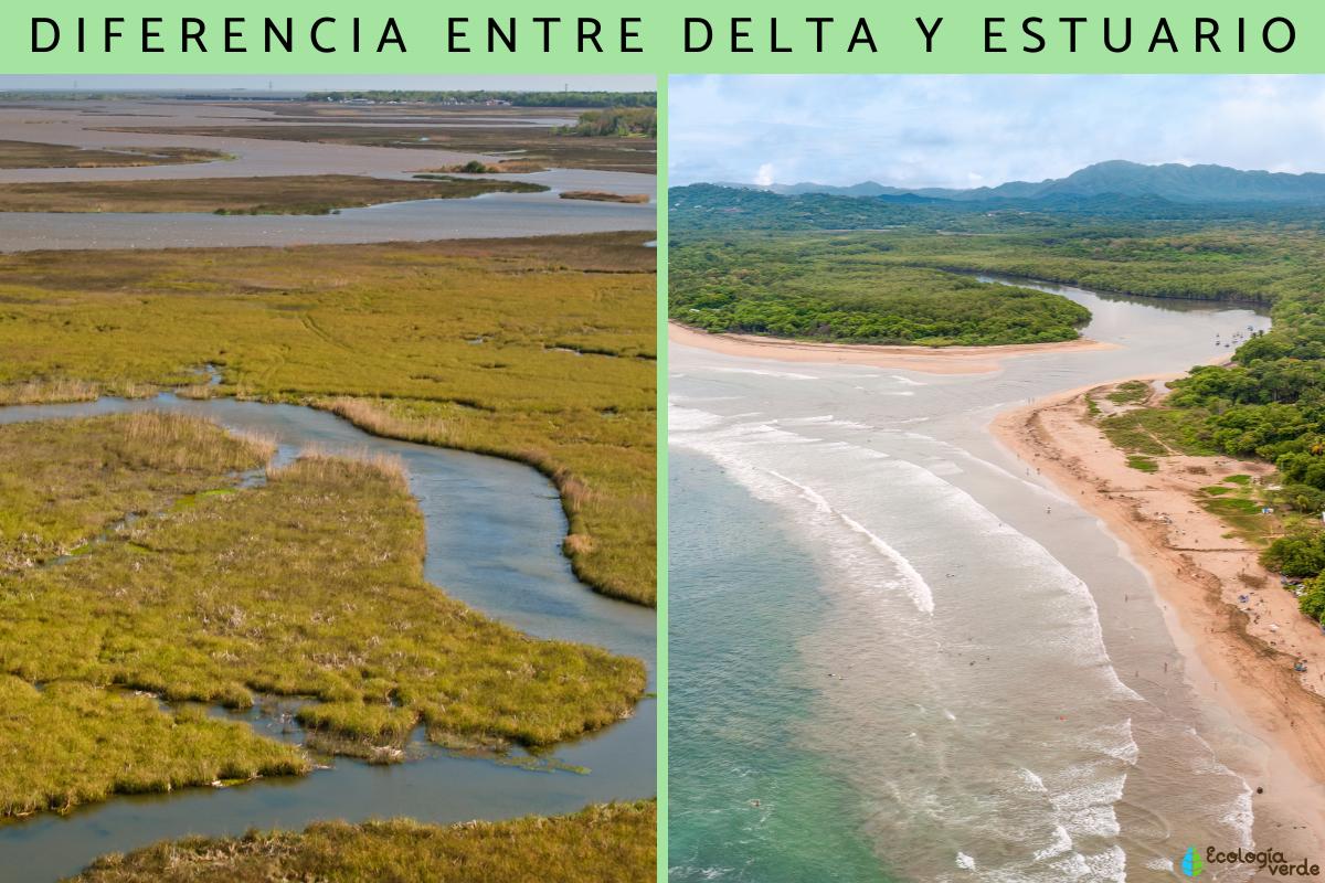 Diferencia entre delta y estuario