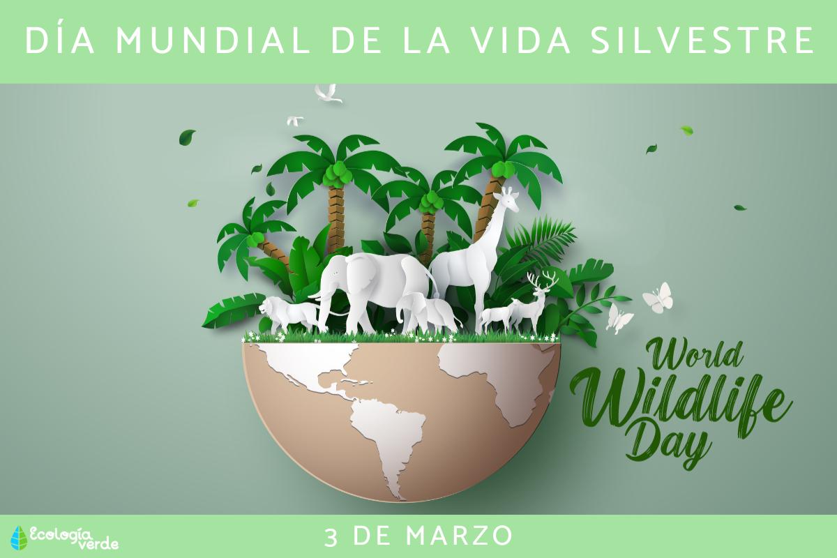 Día Mundial de la Vida Silvestre: cuándo es y frases