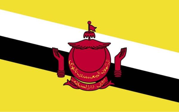 Banderas de países del mundo con nombres - Brunéi