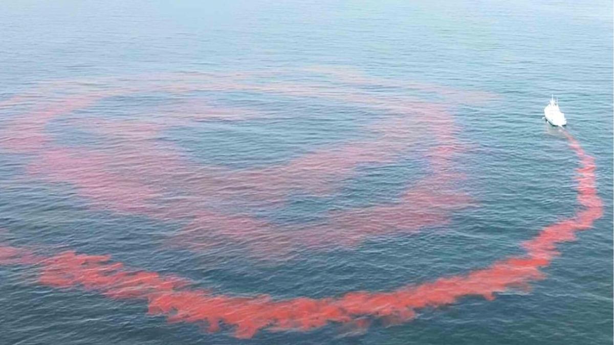Científicos vierten 62.000 litros de sosa cáustica en el océano y lo tiñen de rosa: así quieren capturar más CO₂