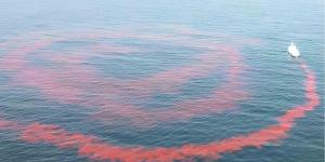 Científicos vierten 62.000 litros de sosa cáustica en el océano y lo tiñen de rosa: así quieren capturar más CO₂