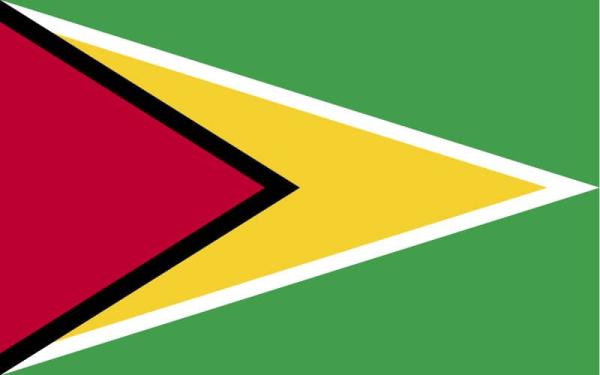 Banderas de países del mundo con nombres - Guyana