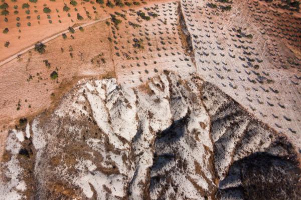 Desertificación: qué es, causas y consecuencias - Consecuencias de la desertificación