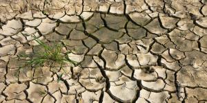 Desertificación: qué es, causas y consecuencias