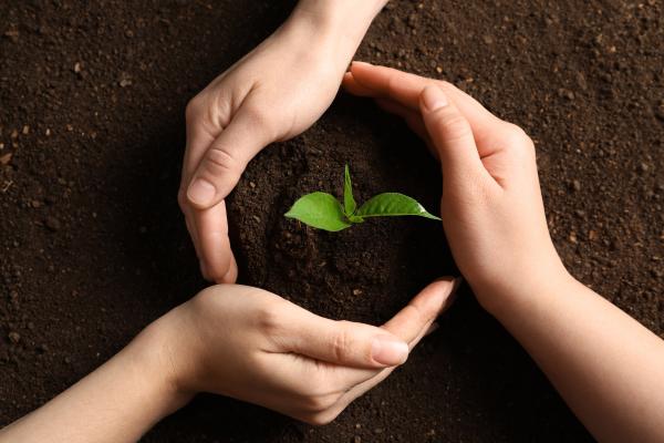 Desertificación: qué es, causas y consecuencias - Soluciones a la desertificación