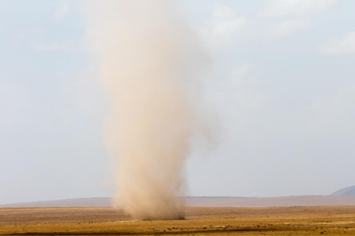 Tolvanera: qué es y cómo se forma