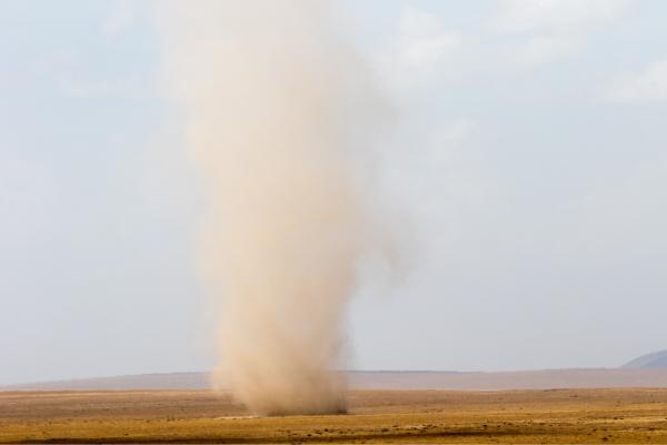 Tolvanera: qué es y cómo se forma