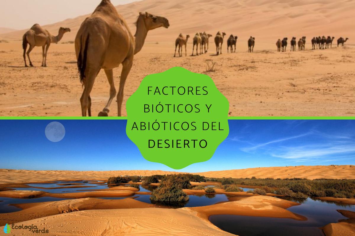 Factores bióticos y abióticos del desierto