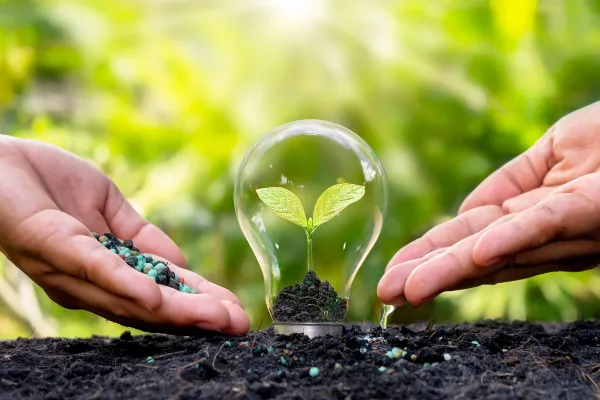 Maestría Internacional experto en Ecoeficiencia y Ecoinnovación