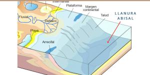 Llanura abisal: qué es, características y vida