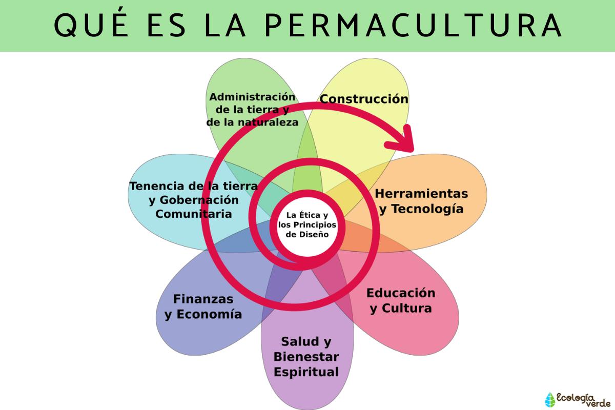Qué es la permacultura: principios y ventajas