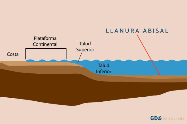 Llanura abisal: qué es, características y vida - Qué es una llanura abisal