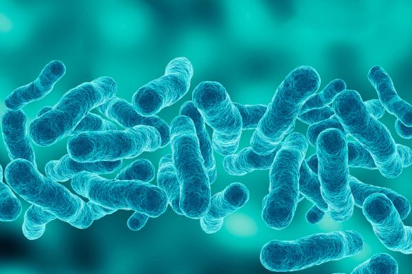 Arqueas: qué son, ejemplos y diferencia con las bacterias - Qué son las arqueas o archaea