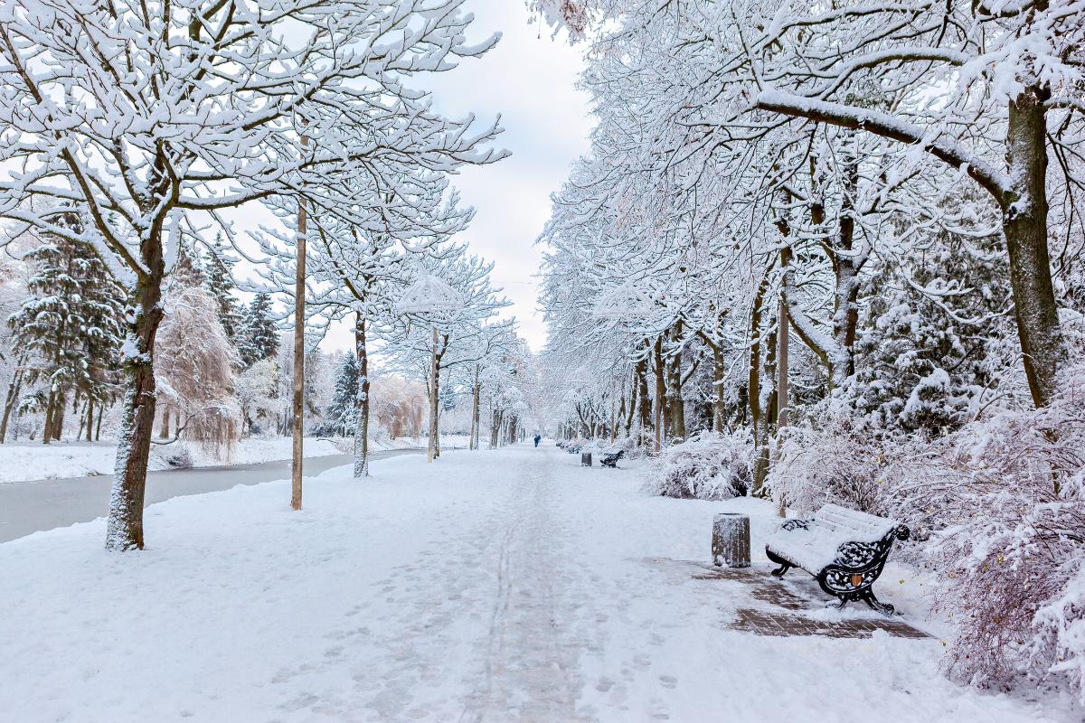 Olas de frío: qué son, causas y consecuencias