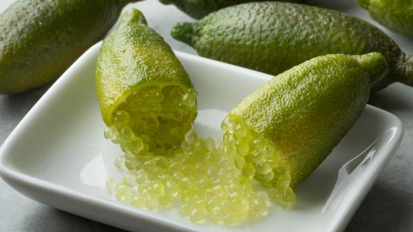 El árbol que produce “caviar cítrico” y puedes cultivar en una maceta: así puedes conseguir que dé frutos - El finger lime esconde pequeñas perlas de zumo en sus frutos