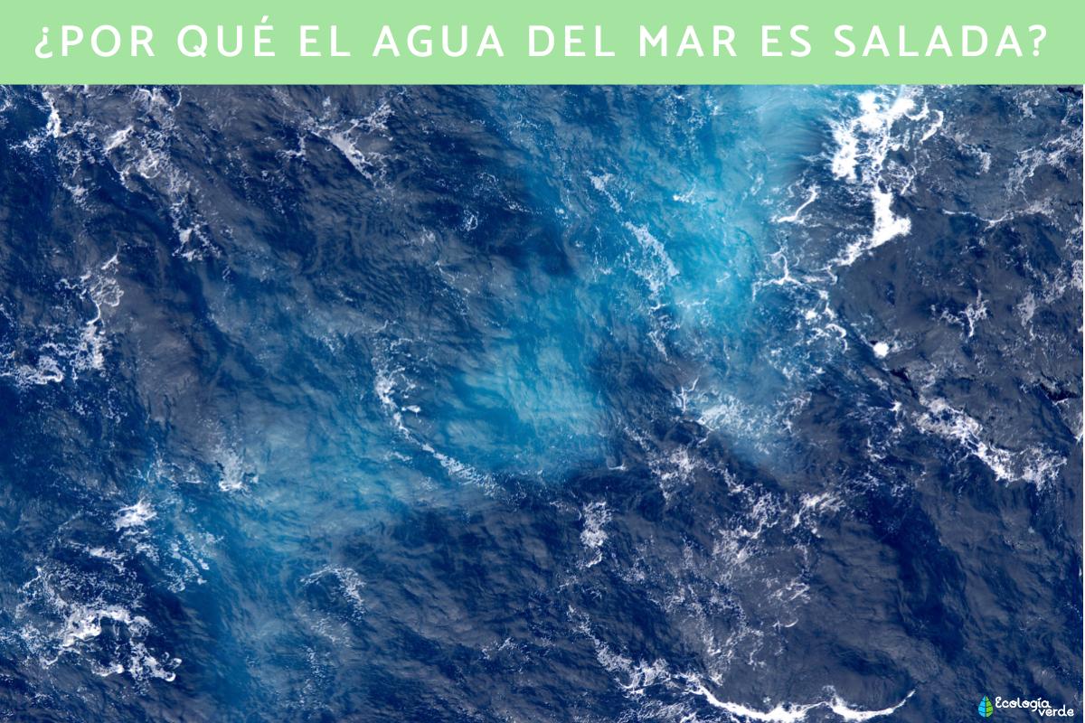 Por qué el agua del mar es salada