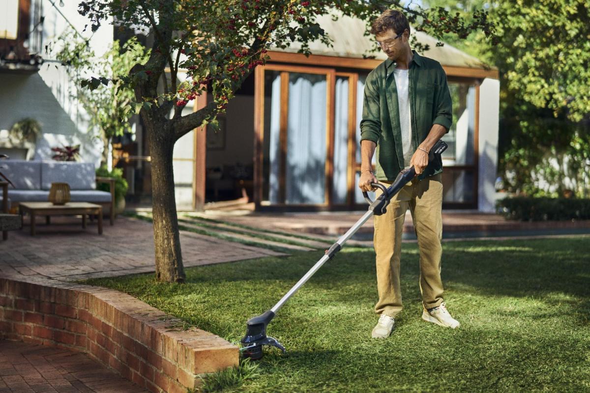 6 prácticas sostenibles para evitar las plagas de otoño en tu jardín