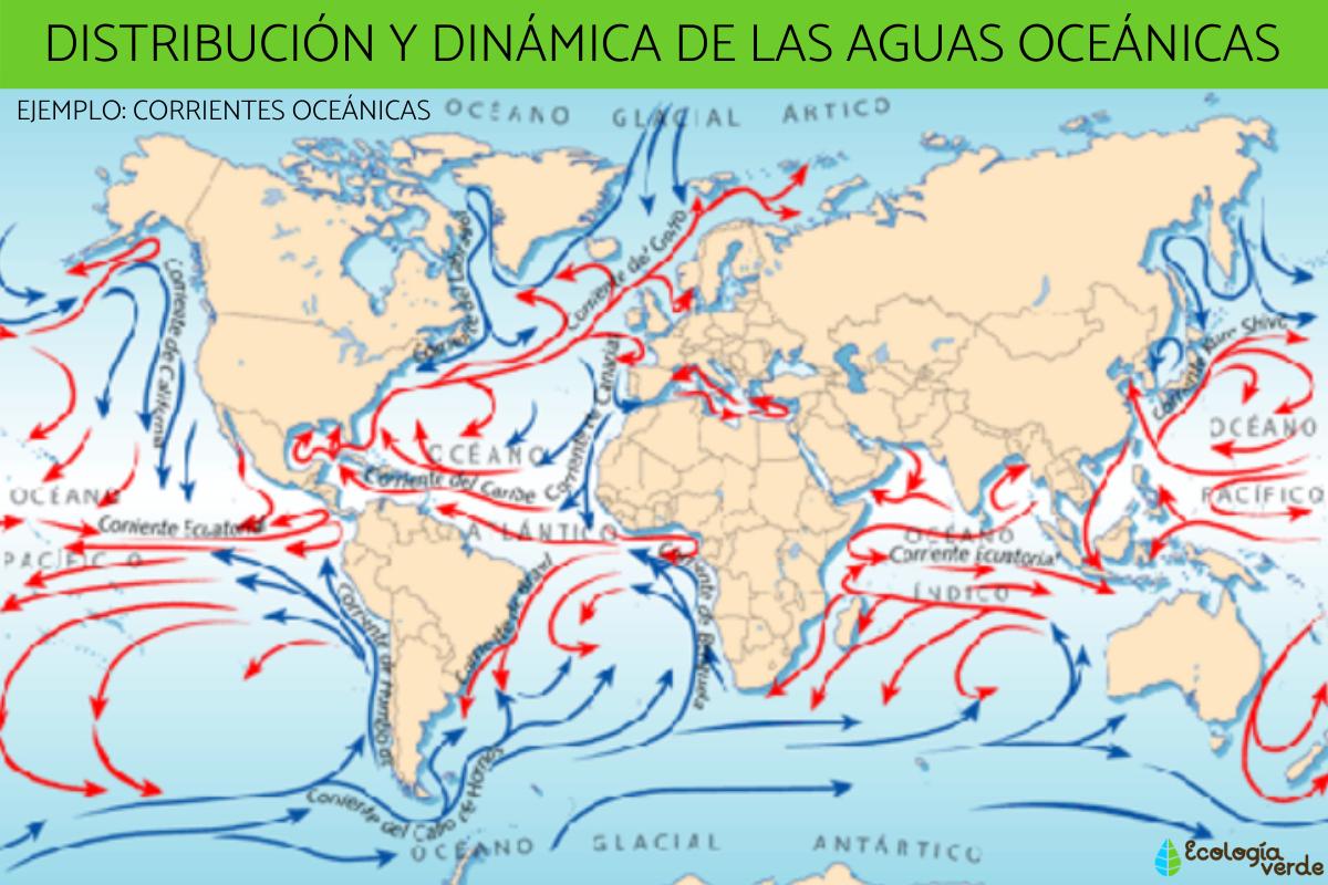 Distribución y dinámica de las aguas oceánicas