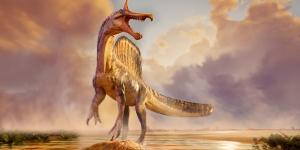 El Spinosaurus “maravilloso”: encontrado en el Sáhara un dinosaurio de 13 metros y cresta en forma de sable