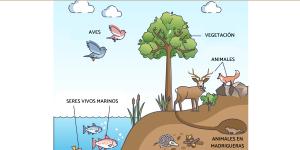 Biosfera: qué es, capas y ejemplos