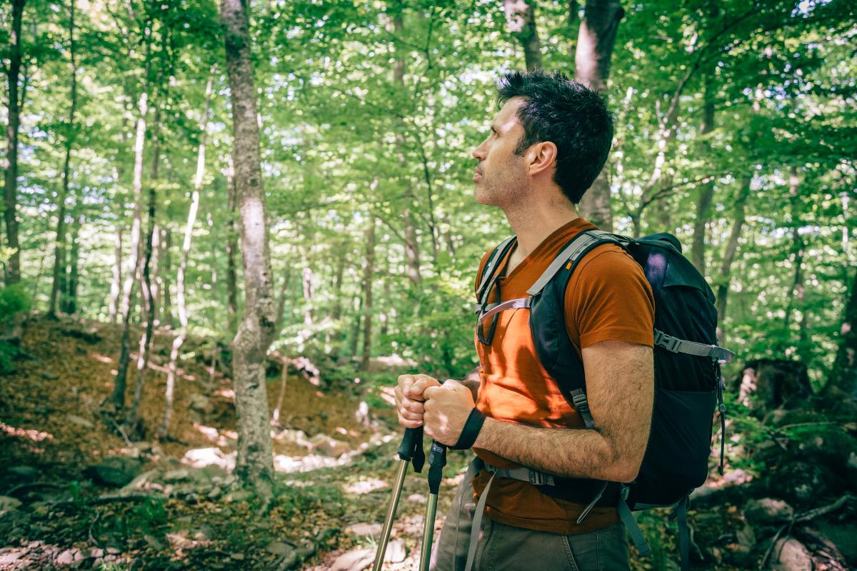Qué es el ecoturismo y sus características