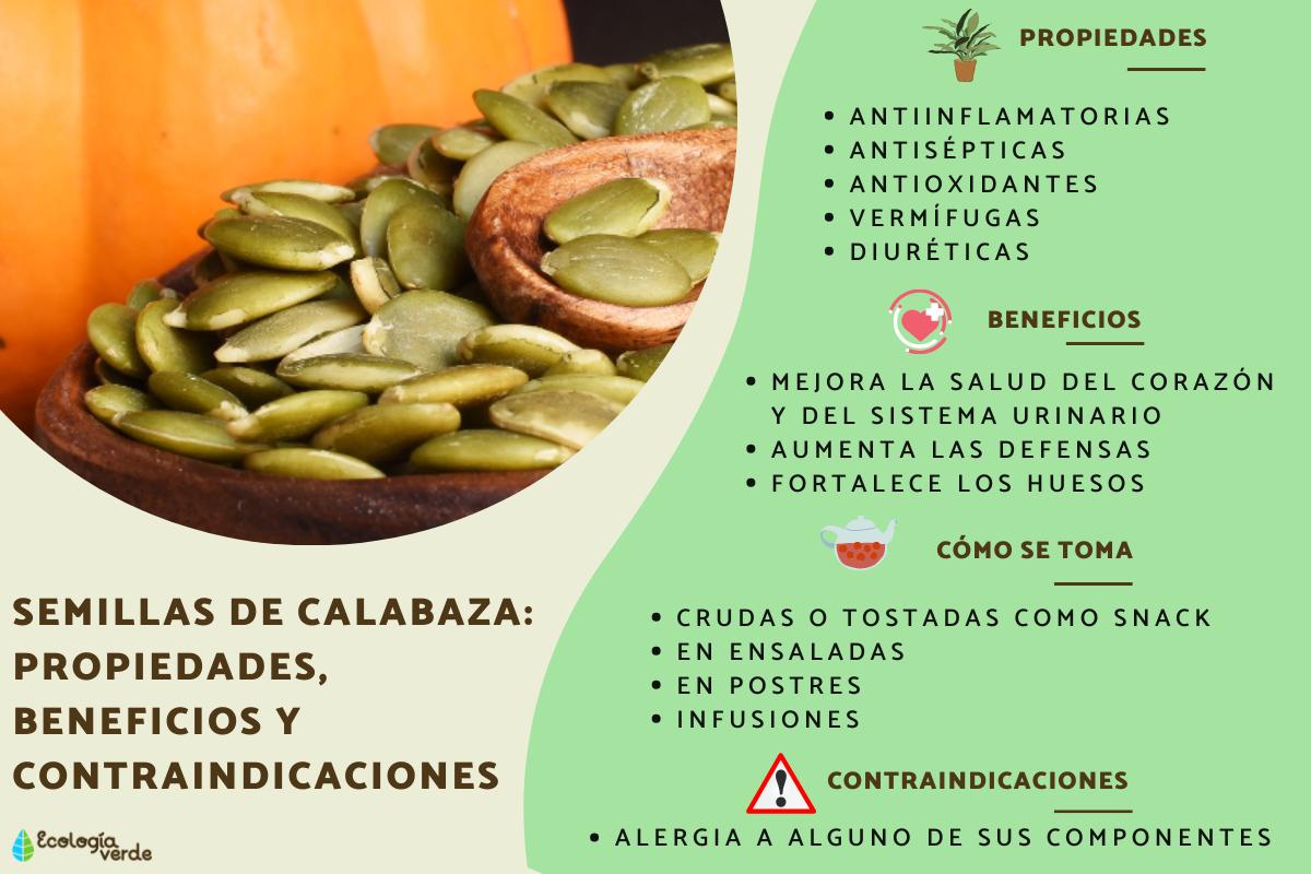 https://cdn0.ecologiaverde.com/es/posts/5/7/0/semillas_de_calabaza_propiedades_beneficios_y_contraindicaciones_3075_1200.jpg