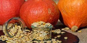 Un agricultor aragonés entrega las semillas que su familia conserva desde hace 200 años para evitar que desaparezcan dos calabazas tradicionales