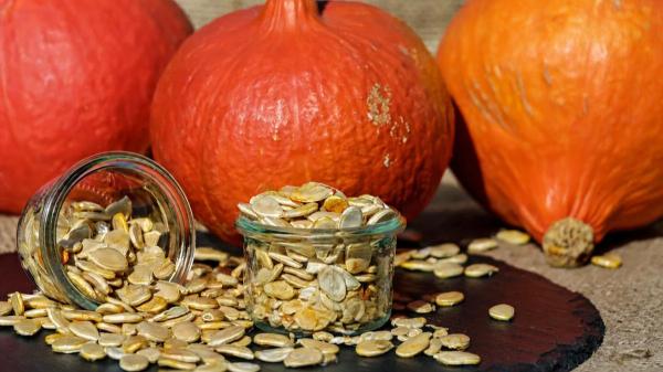 Un agricultor aragonés entrega las semillas que su familia conserva desde hace 200 años para evitar que desaparezcan dos calabazas tradicionales