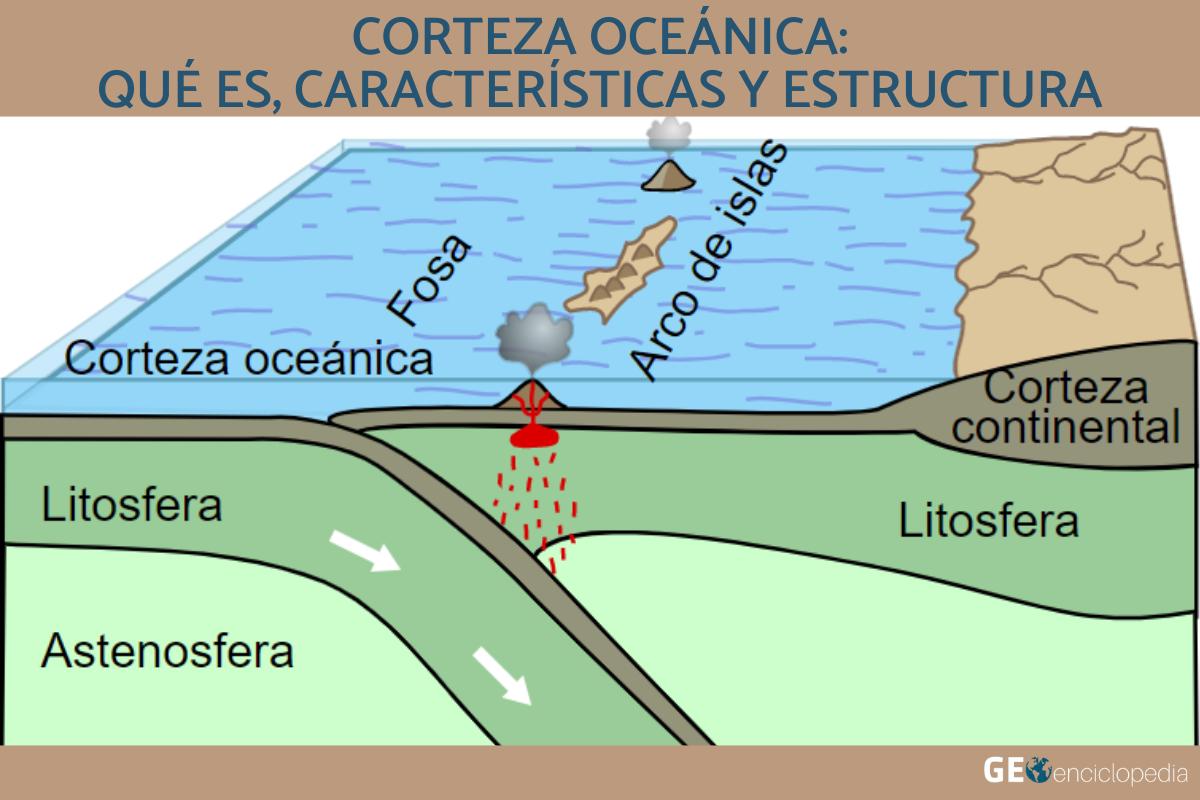 Corteza oceánica: qué es, características y estructura