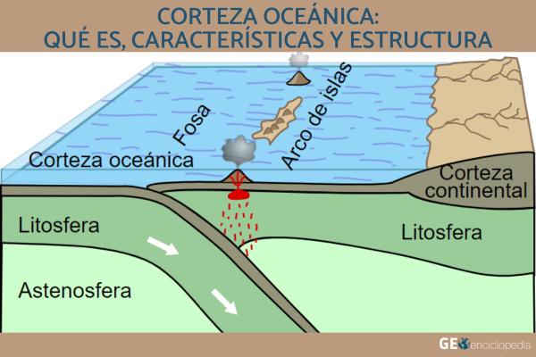 Corteza oceánica: qué es, características y estructura