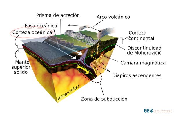 Corteza oceánica: qué es, características y estructura - Estructura de la corteza oceánica