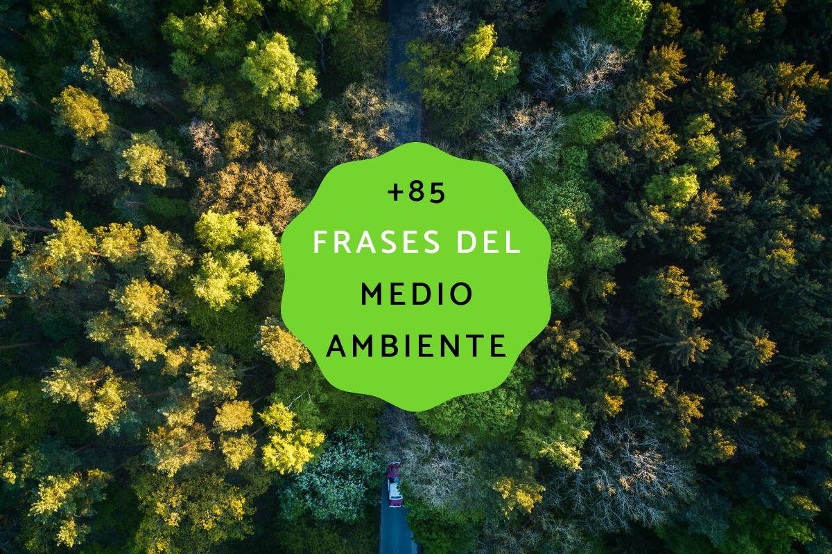 Frases del medio ambiente para niños