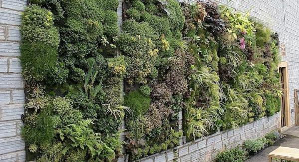 Uso de las plantas en la arquitectura bioclimática - Bienestar y ahorro