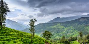 Clima monzónico: qué es, dónde se encuentra y características