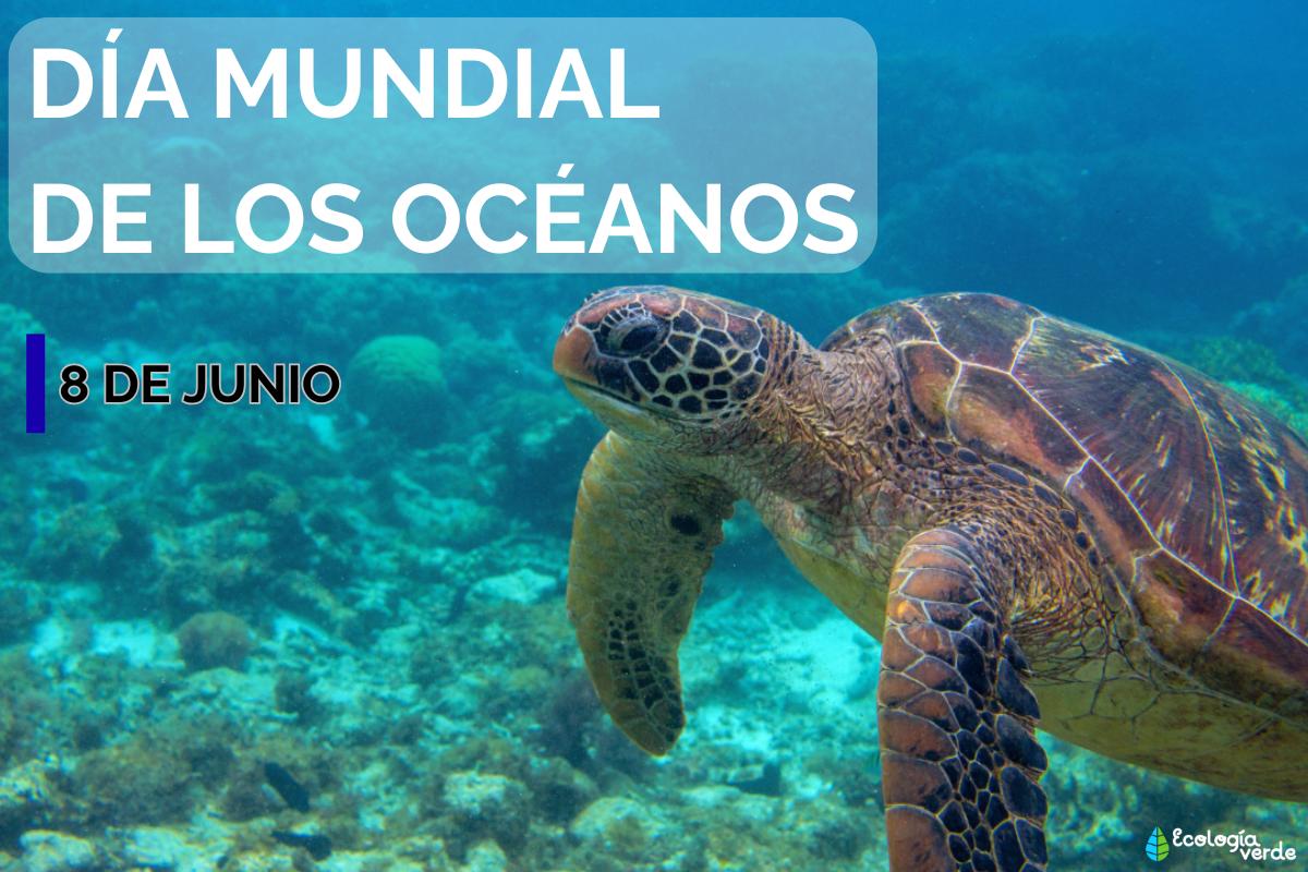 Día Mundial de los Océanos: cuándo es y por qué se celebra