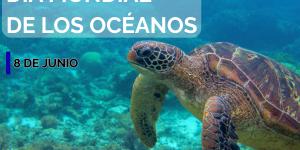 Día Mundial de los Océanos: cuándo es y por qué se celebra