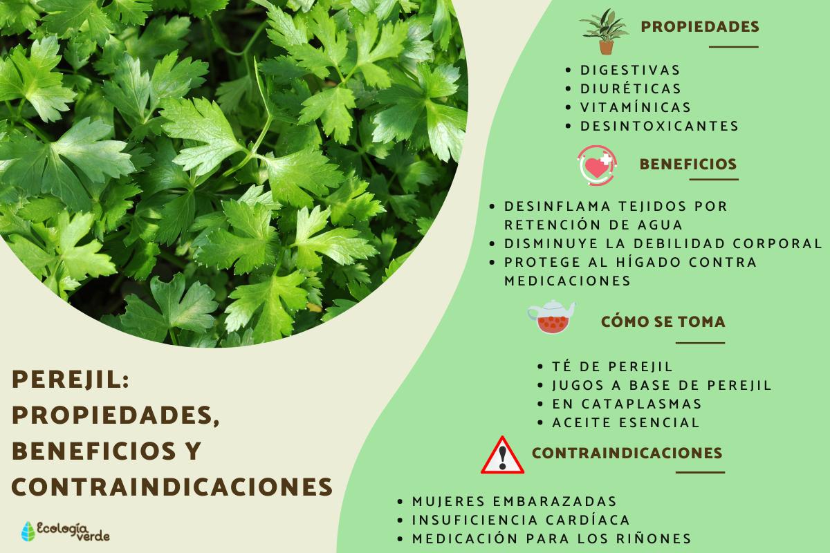 Perejil: propiedades, beneficios y contraindicaciones