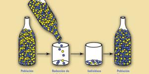 Mecanismos de la Evolución